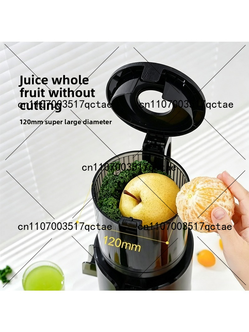 Cold Press Juicer 220V Slow Sp - Electric Slow Juicer Cold Press 评论和价格